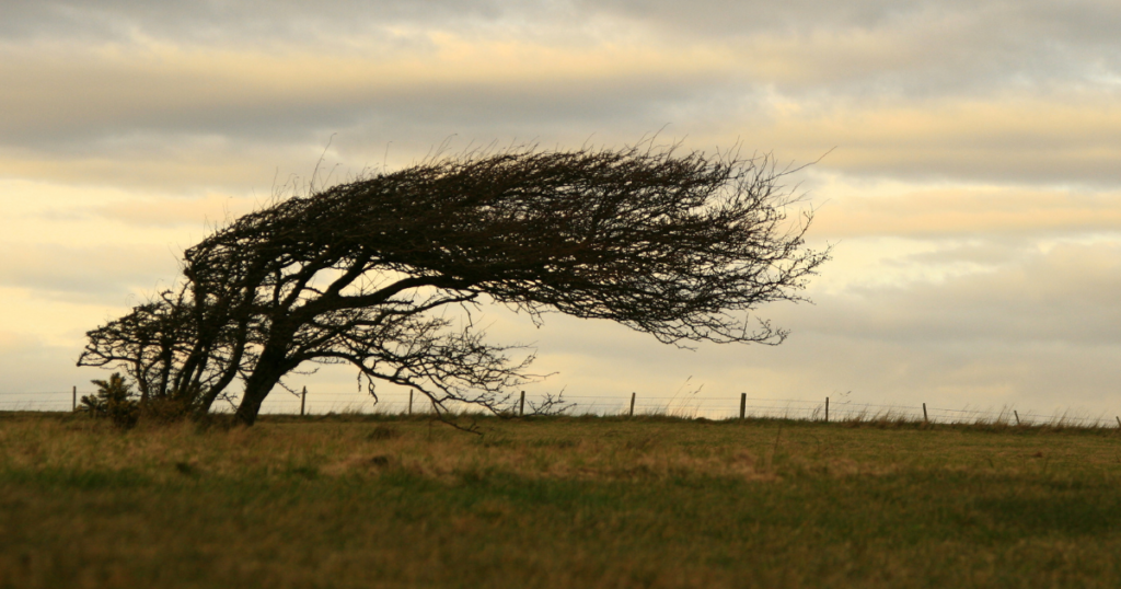 Endurance | Christian Women's Counseling